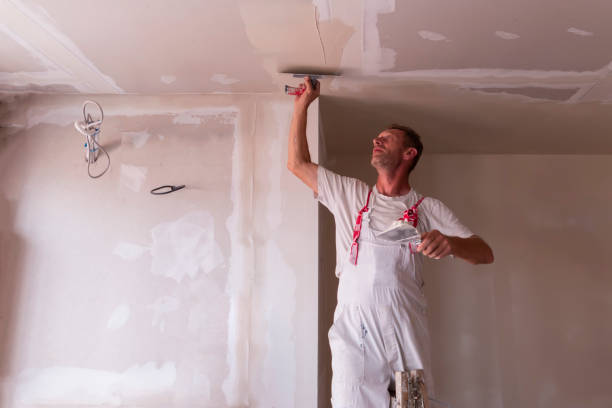 Best Ceiling Drywall Installation  in Lauderdale By The Sea, FL